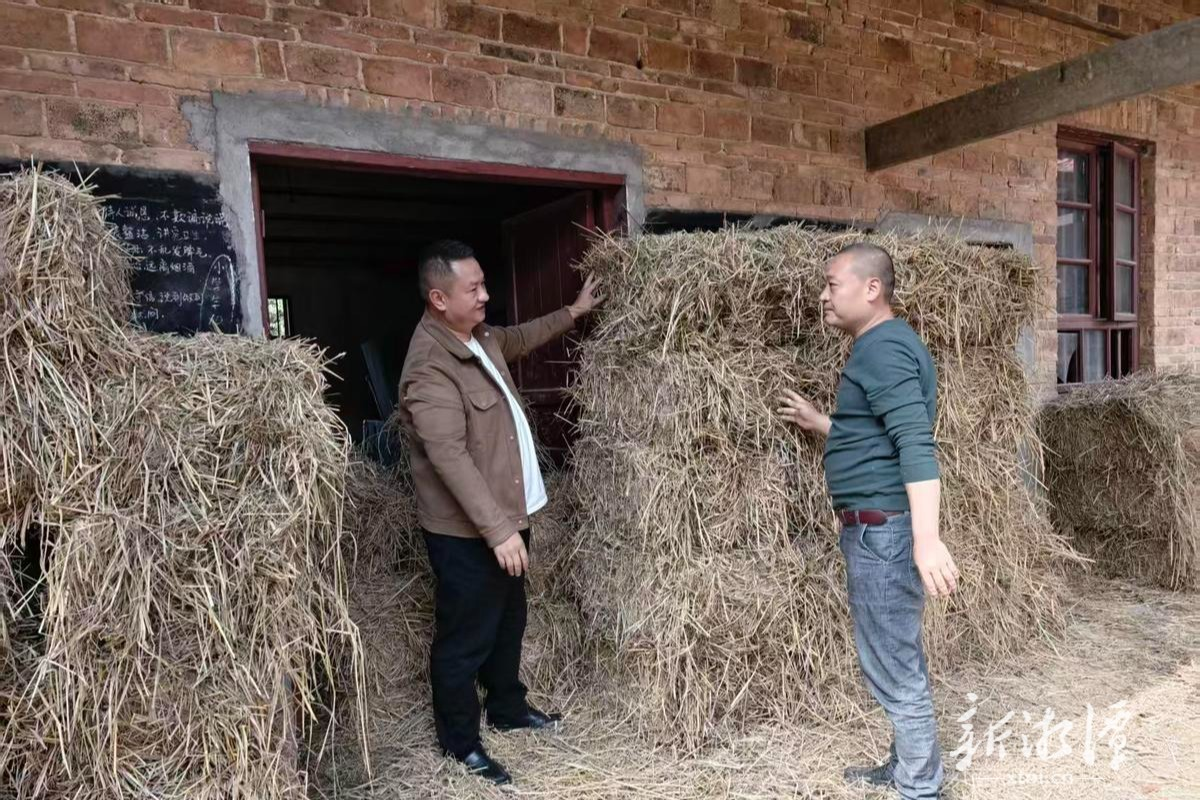 雨湖区鹤岭镇云龙村稻草回收利用与秸秆禁烧两全其美