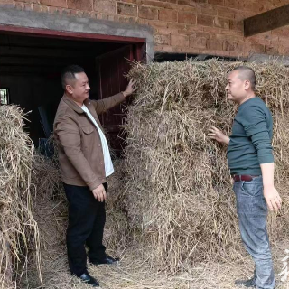 雨湖区鹤岭镇云龙村稻草回收利用与秸秆禁烧两全其美
