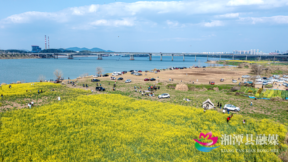 湘潭县：油菜花开遍地“金”