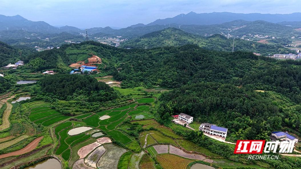 高素质农民成长记丨老油坊飘出青春香 看肖建玉“老一辈”菜油升级记
