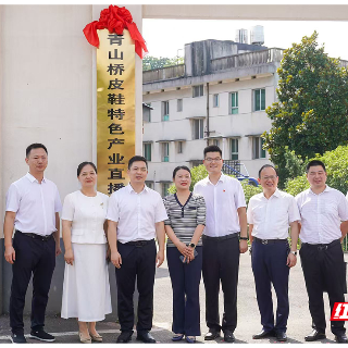 观“湘”门丨当“老皮鞋”遇上新电商 湘潭乡镇特色产业升级干出“最优解”