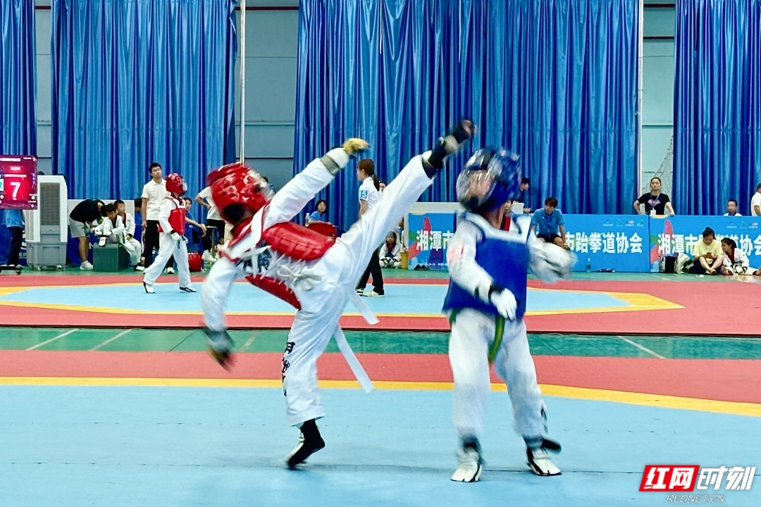 视频丨湘潭市第十四届运动会跆拳道（青少年儿童组）比赛火热进行