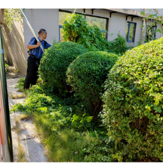 推门见绿办事顺心 雨湖区将军渡社区用“小细节”托起“大民生”
