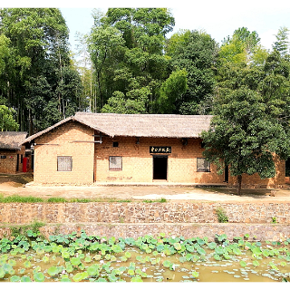 产业“莲”通致富路丨水墨丹青处 湘潭县白石镇解锁“文化IP+生态经济”融合密码