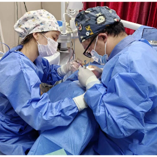 40分钟“种”回新门牙 湘潭市第一人民医院完成今年首例“即刻种植”手术