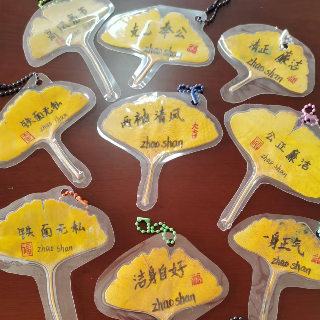 廉洁种子润童心 岳塘区昭山和平小学开展树叶廉洁寄语主题实践活动