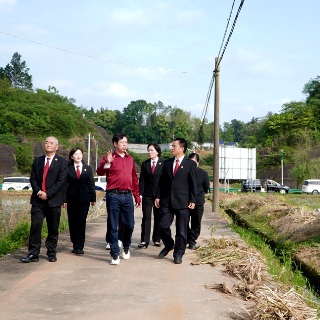 守护地标特色产业 长潭两地法院这样问诊企业急难愁盼