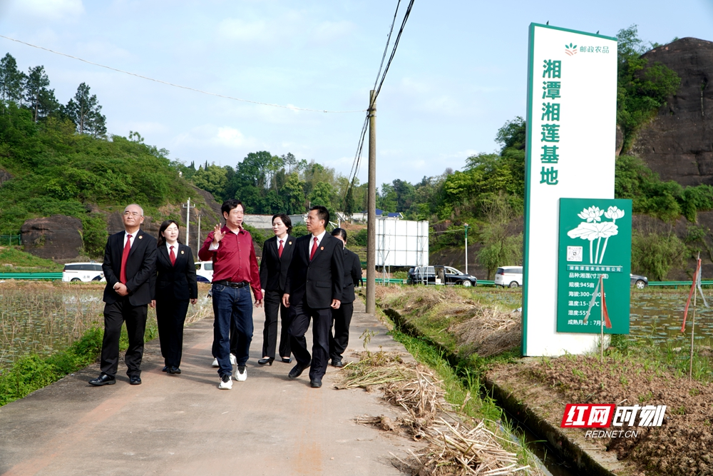 守护地标特色产业 长潭两地法院这样问诊企业急难愁盼