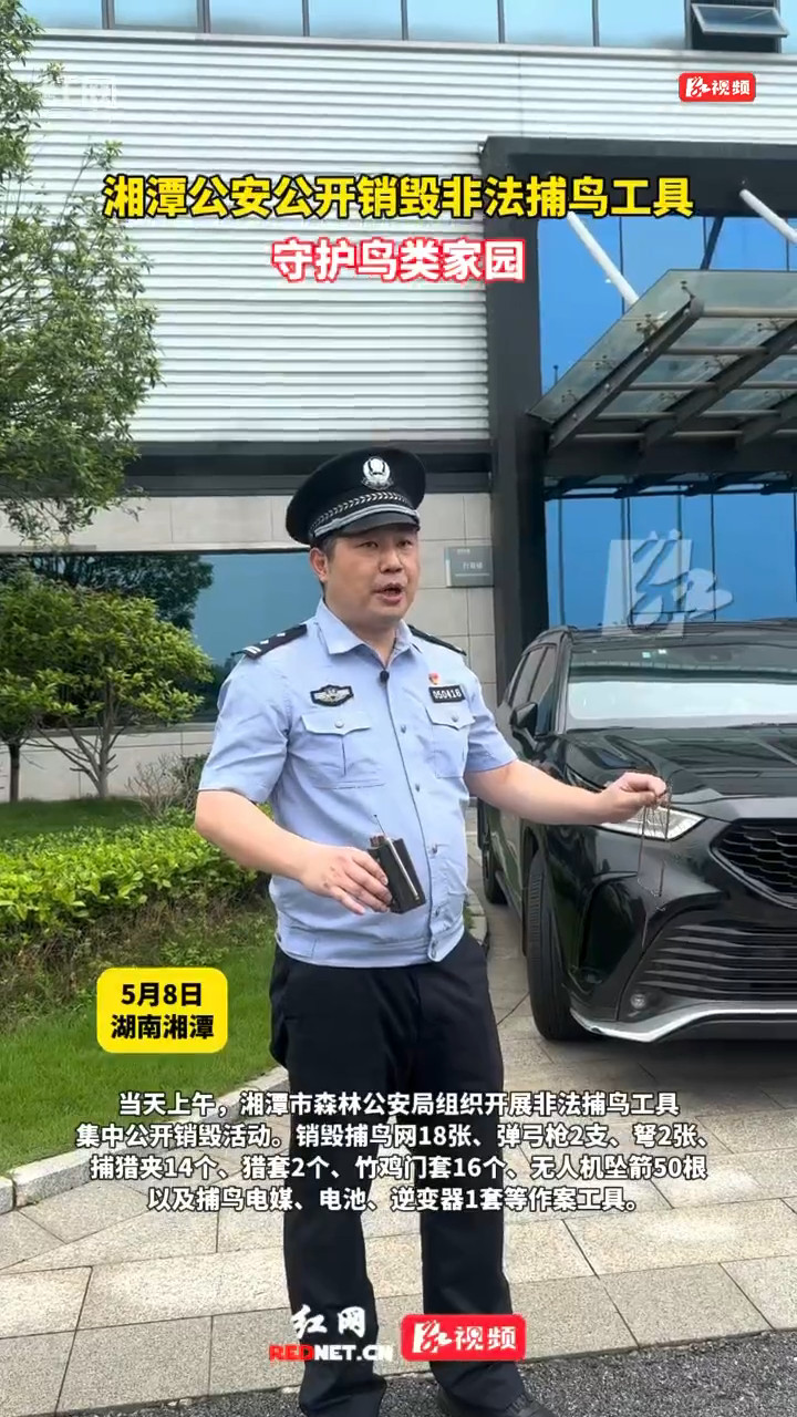 非法捕鸟工具被集中公开销毁
