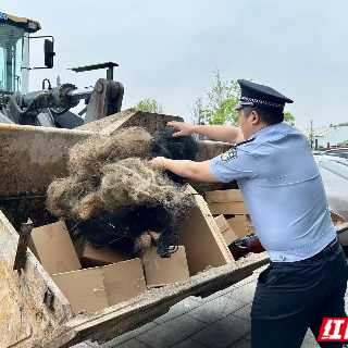 视频丨湘潭：重拳出击 一批非法捕鸟工具被集中公开销毁
