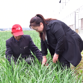湘潭市雨湖区赵鑫：农技“铁娘子”赋能乡村振兴
