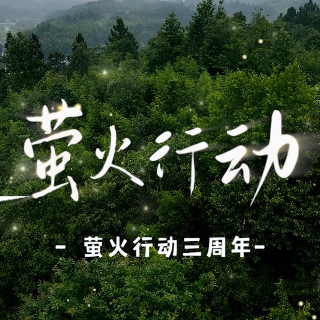 视频丨湘潭县法院“非遗双壁”守护乡村微光