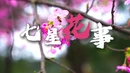 “莲”向世界丨七星花事