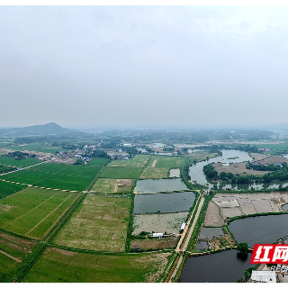 观察丨“山上换山下” 湘潭市优化耕地布局下了一盘“大棋”