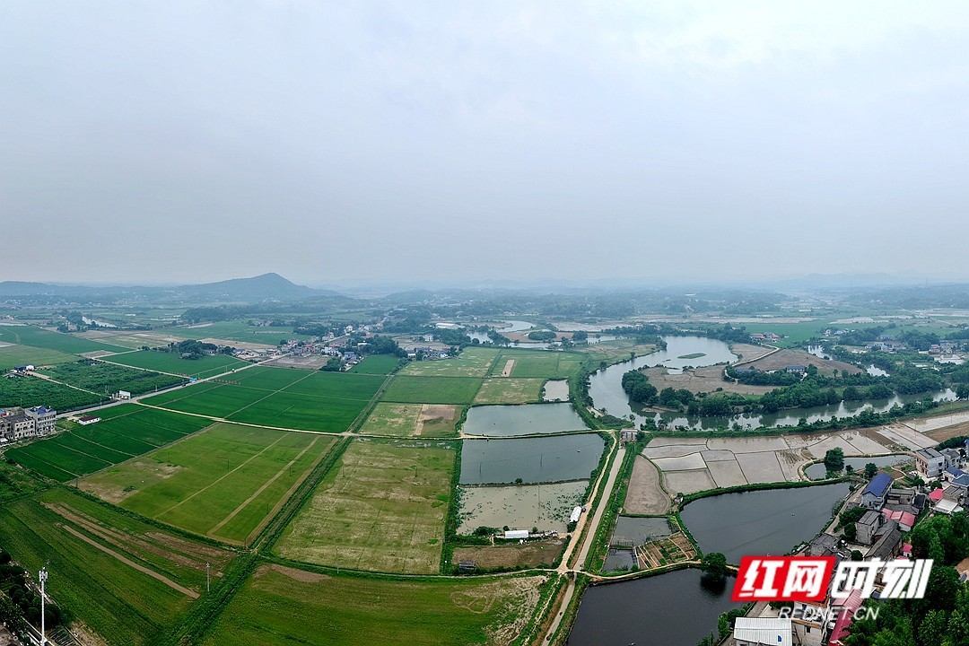 观察丨“山上换山下” 湘潭市优化耕地布局下了一盘“大棋”