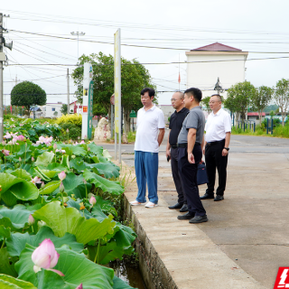 湘潭中院上门“法治体检” 擦亮湘莲地理标志名片