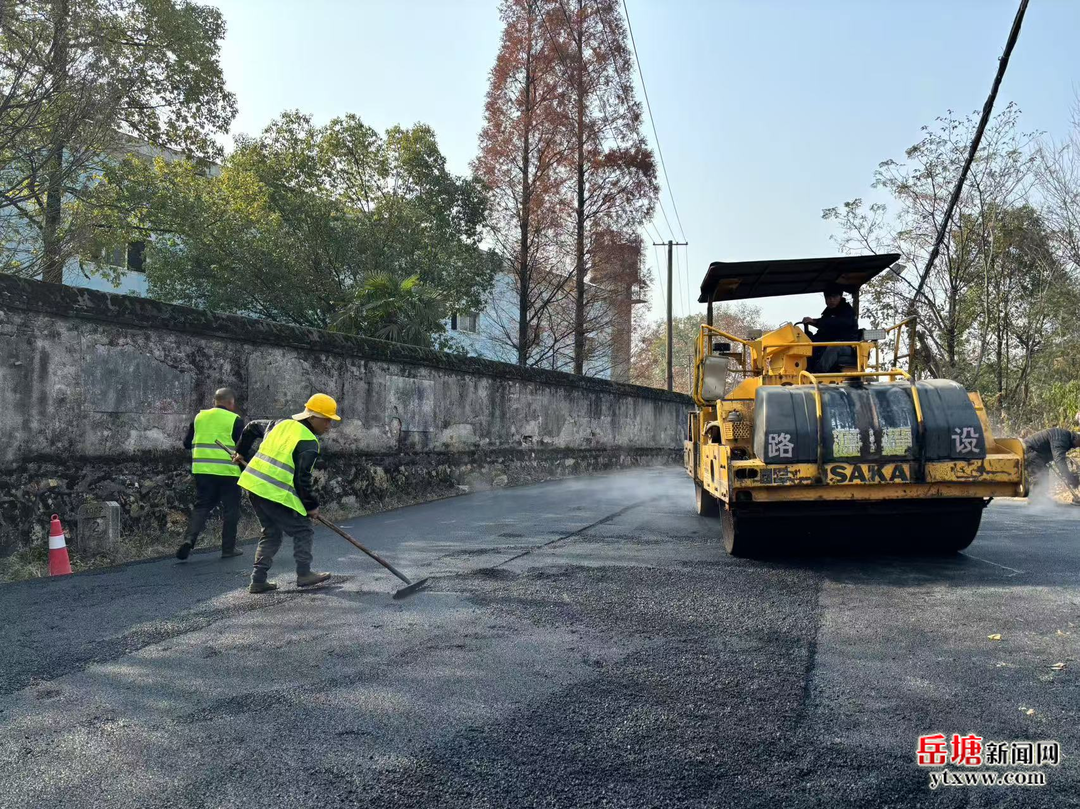 岳塘区：路畅景美百业兴 交通先行惠民生