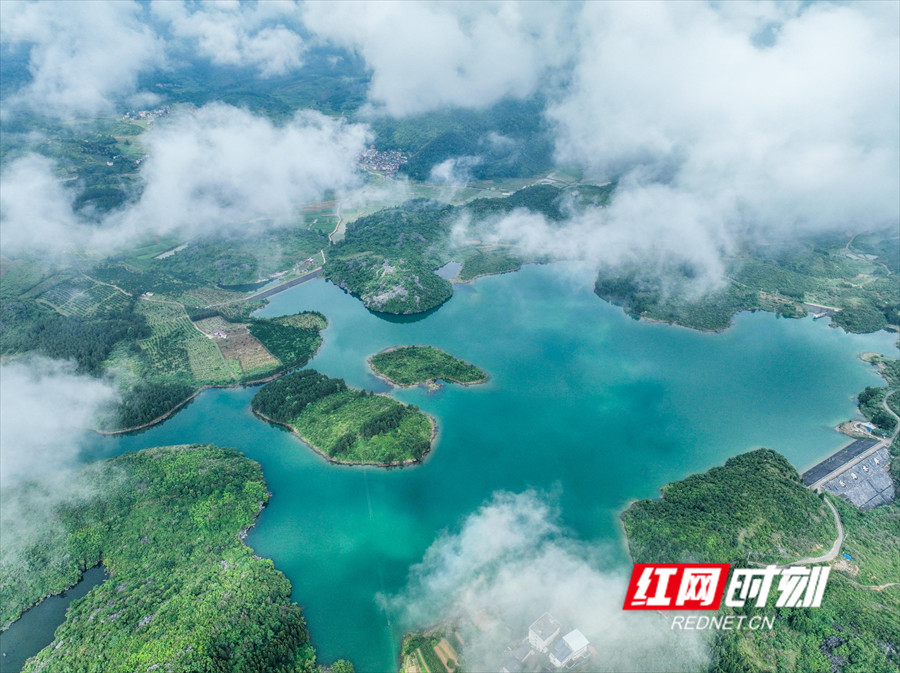 QQ图片20261009101941.png