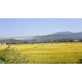 发挥乡贤作用 助力乡村振兴——湘乡市白田镇乡贤统战工作纪实