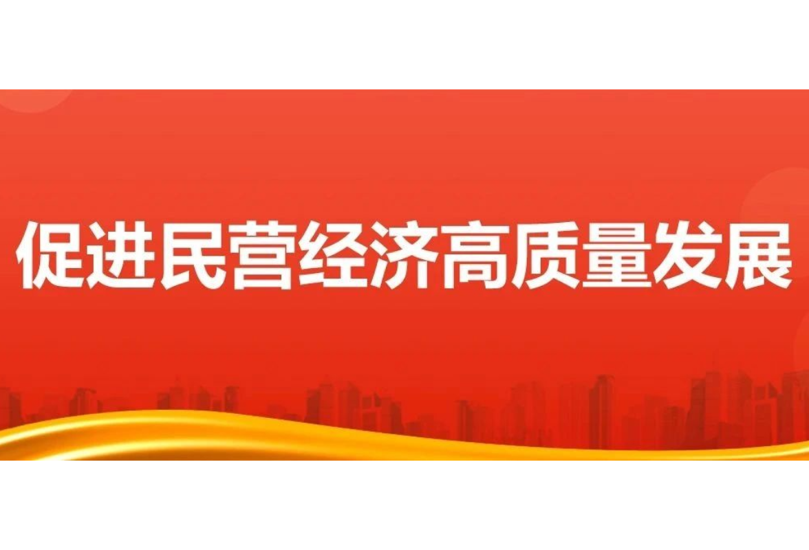 新时代新征程民营经济发展前景广阔大有可为
