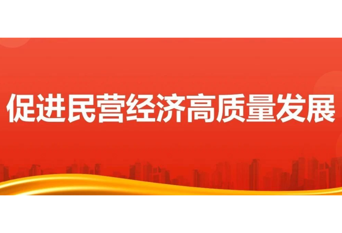 精准服务，用好“赋能之手”——为民营经济营造更好发展环境①