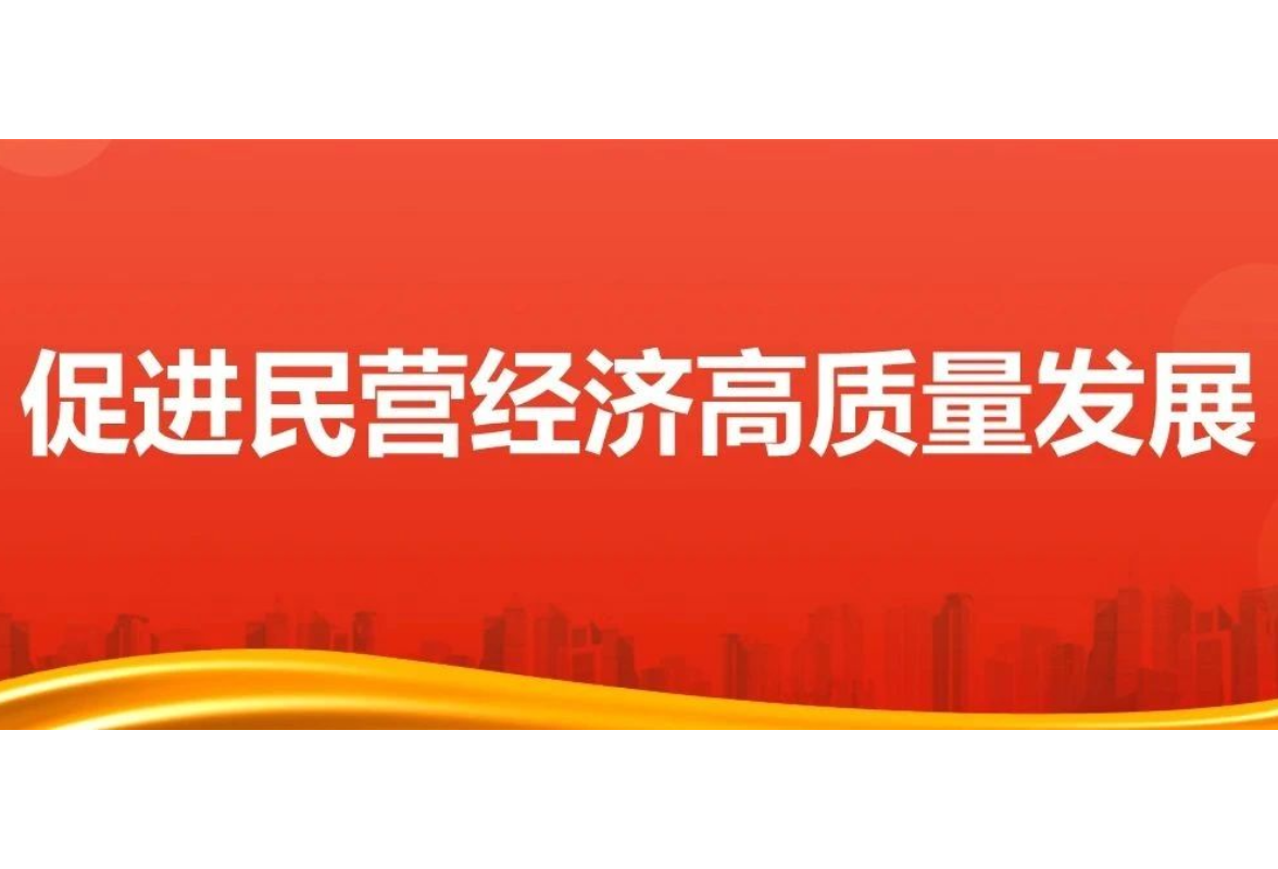 强化监管，着力整治乱象——为民营经济营造更好发展环境③