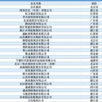 9家湘企上榜2025中国民营企业500强