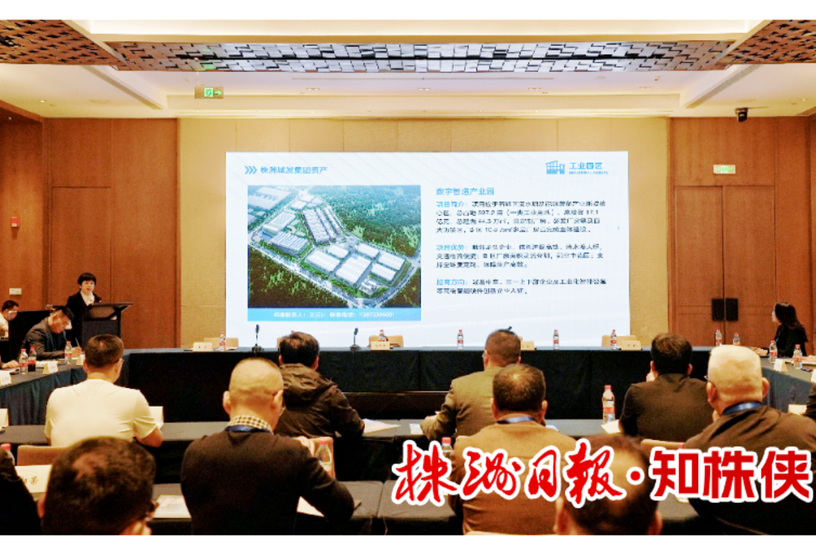 厚植本土 链接全球——株洲民营经济加速跃升