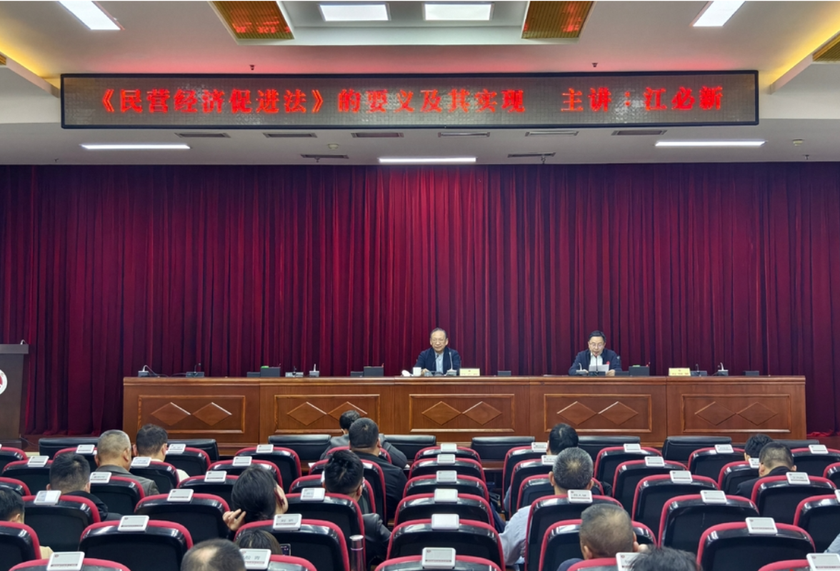 江必新：《民营经济促进法》的要义及其实现