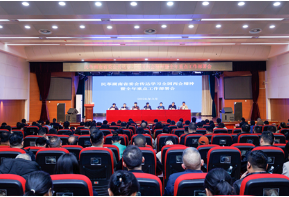 民革湖南省委会传达学习全国两会精神