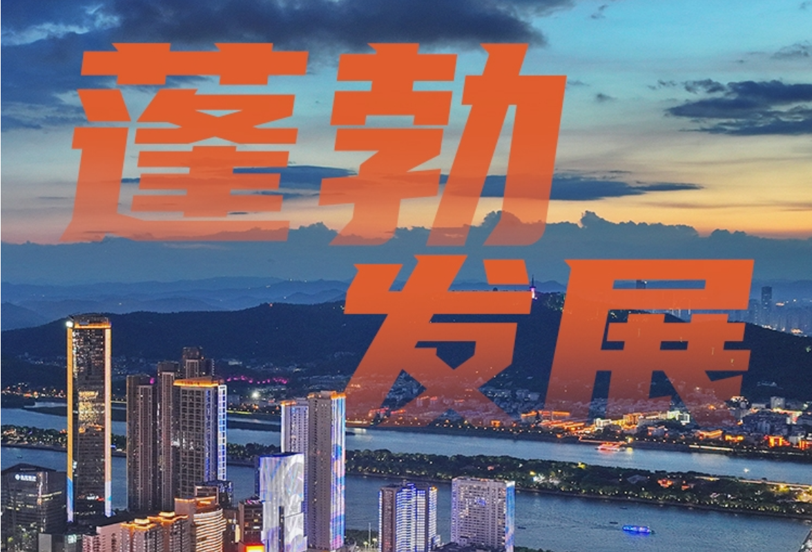 厚植沃土，万木争荣——湖南民营经济“十四五”回眸与“十五五”展望|跃升之路①