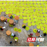 组图|厚土耕耘揽丰收,晒出最美家国色