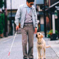无端质疑导盲犬的哗众取宠之声当止