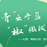 大学生“内卷”成风，倒贴实习值得吗？