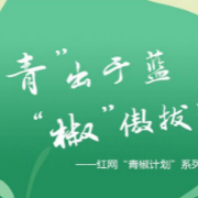 杨国福麻辣烫又碰雷区，不能再道歉了之 