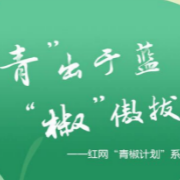 杨倩被称学霸，为冠军贴上人造羽毛要不得
