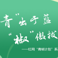 修剪自种树被罚14万，城市治理还应以人为本