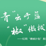 小区内追赶居民，城市流浪狗问题怎么解？