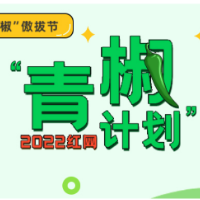 “思维训练”类培训班冒出，拔苗助长式教育不可取