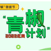 抵制“盗版冰墩墩”，还原创者们一片“净土”