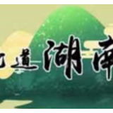 新时代如何发挥高校基层党组织功能？