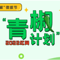 奥迪小满广告抄袭：搜章摘句终会“翻车”