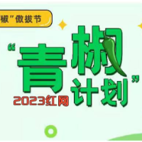 轮椅成年轻人通勤工具？警惕自嘲变冒犯