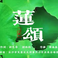 原创歌曲《莲颂》唱出满地芬芳