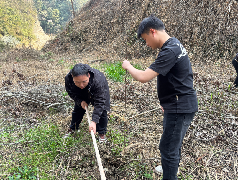 ec342c370fffb2e052c5c490492de73c.png ec342c370fffb2e052c5c490492de73c.png