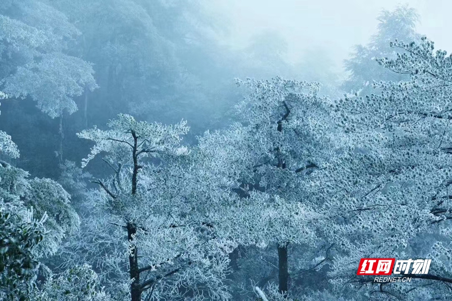 莽山_副本.jpg