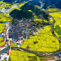 怀化市乡镇综合文化站示范点 | 中方县铜湾镇：文化强镇 旅游兴镇