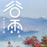 二十四节气·谷雨丨好雨润百谷 春深花正艳