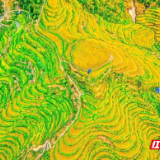 国庆出游计④丨秋高气爽“村”游去！好看好玩好吃还潮酷