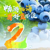 洪江市夏季乡村文旅节｜倒计时2天：畅游西海 “莓”好“蓝”不住